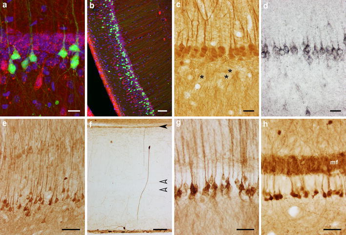Fig. 4