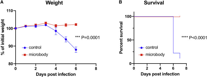 Figure 7