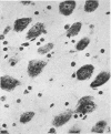 432-3
