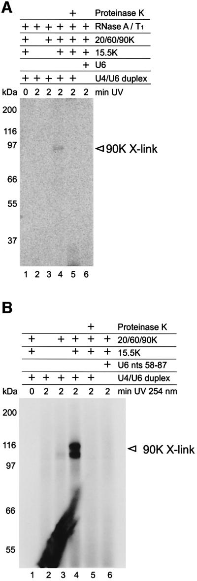 graphic file with name cdf544f6.jpg