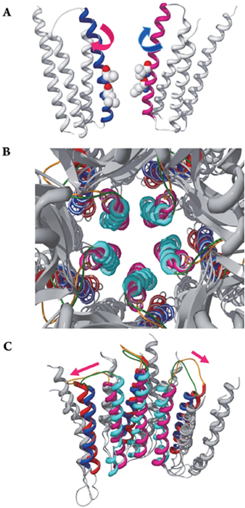 Figure 7