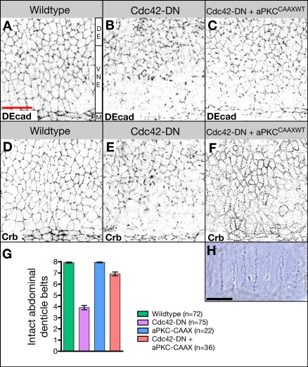 Figure 9.