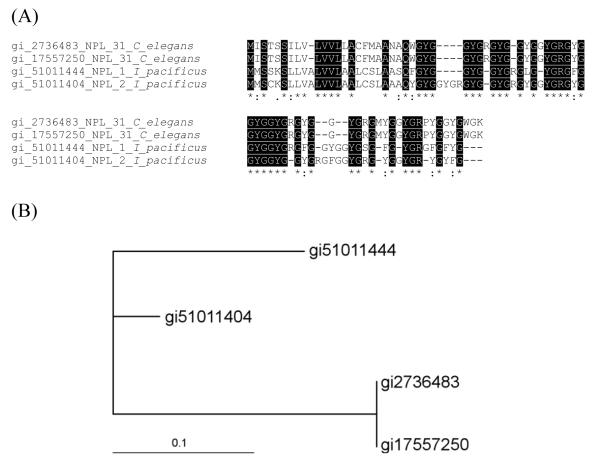Fig. 10