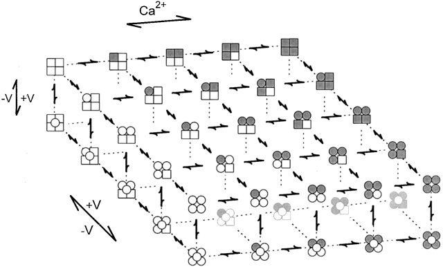 Scheme S1