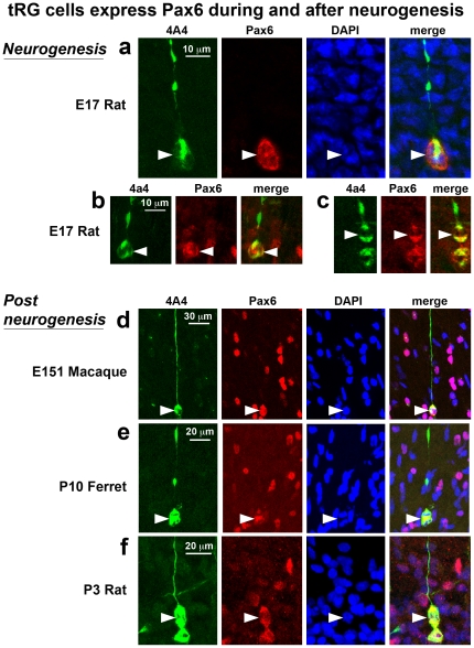 Figure 16