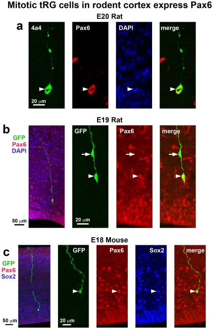 Figure 14