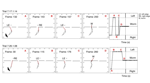 Fig. 4.