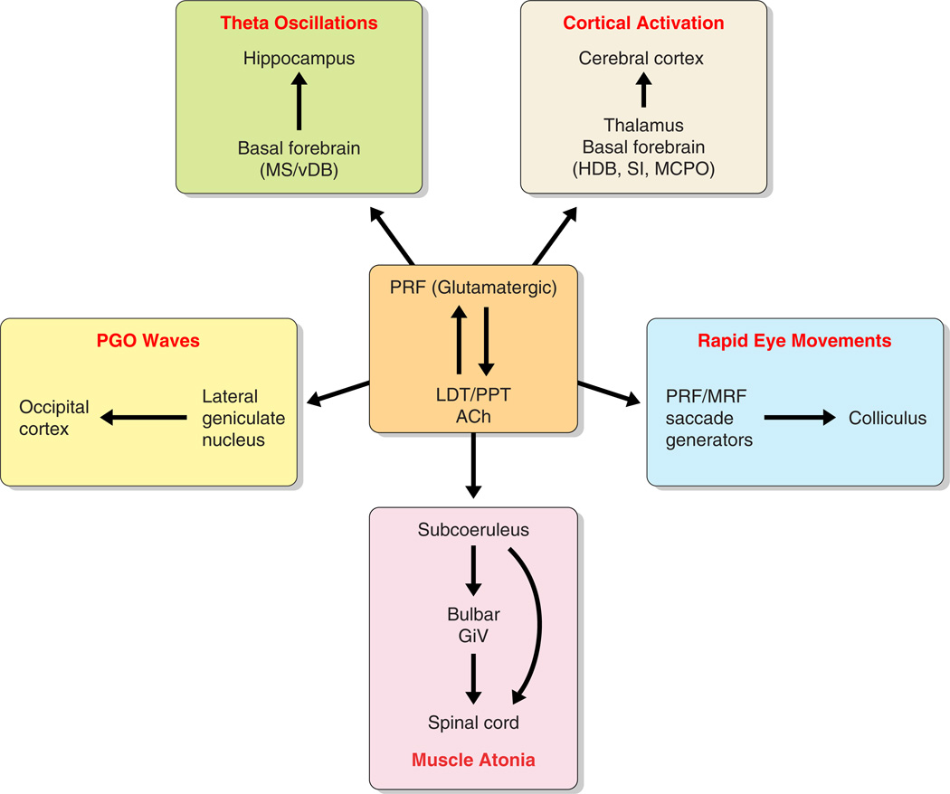 FIGURE 13