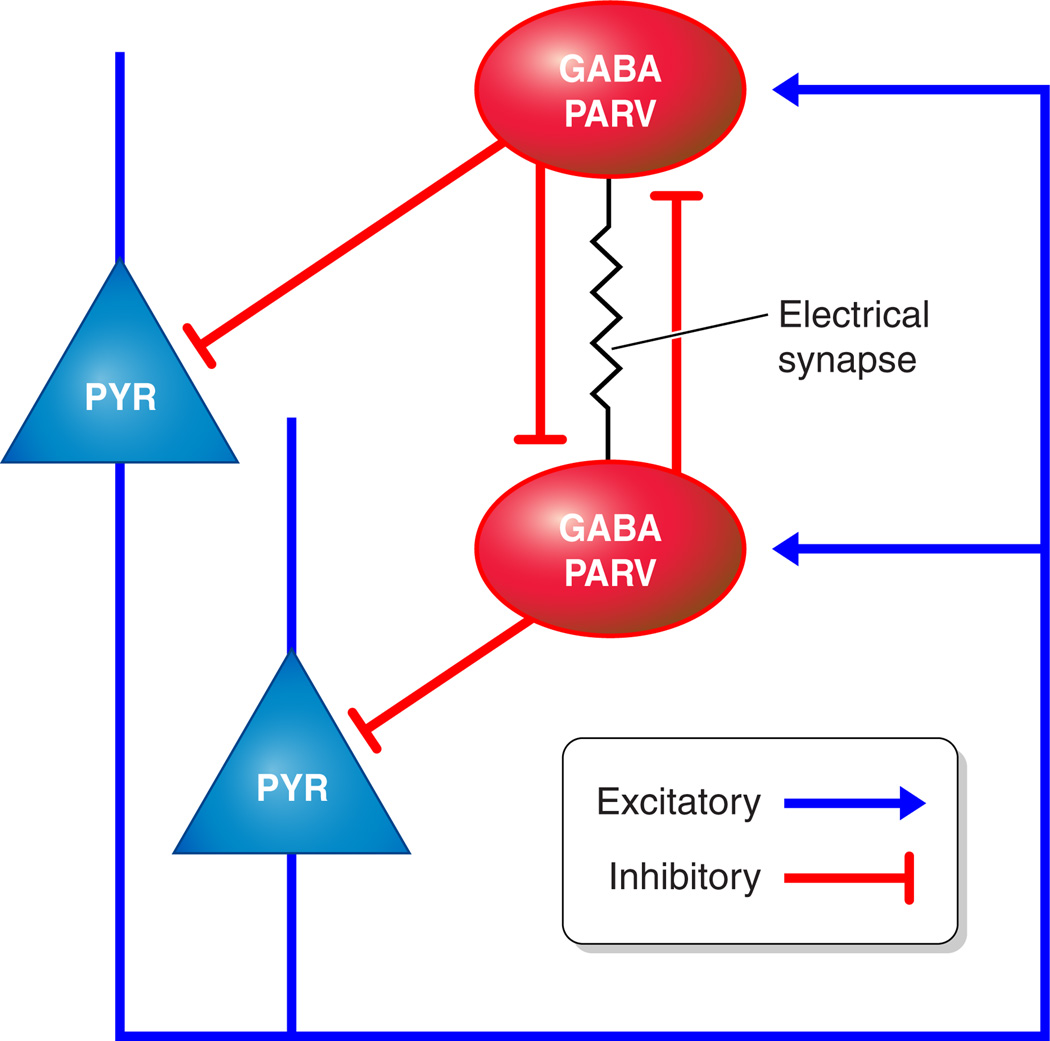 FIGURE 3