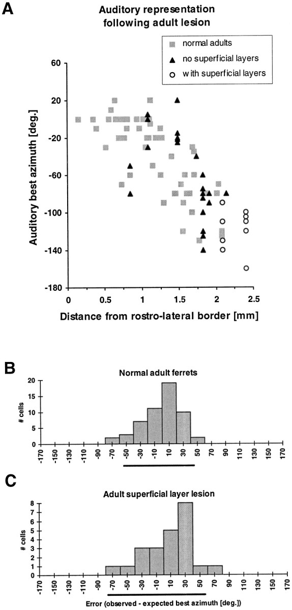 Fig. 13.