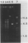 1894