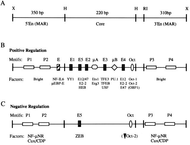 FIG. 1