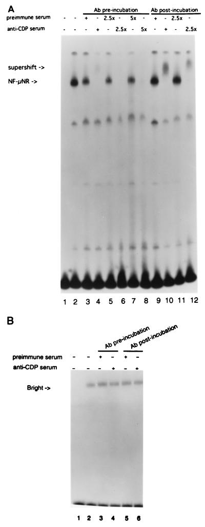 FIG. 6