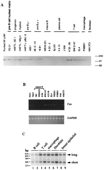 FIG. 5