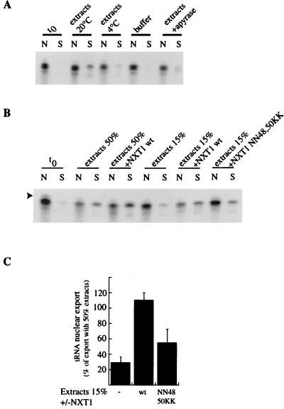 FIG. 8