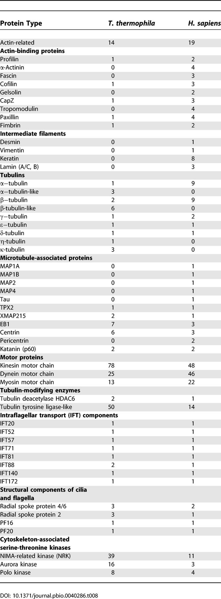 graphic file with name pbio.0040286.t008.jpg