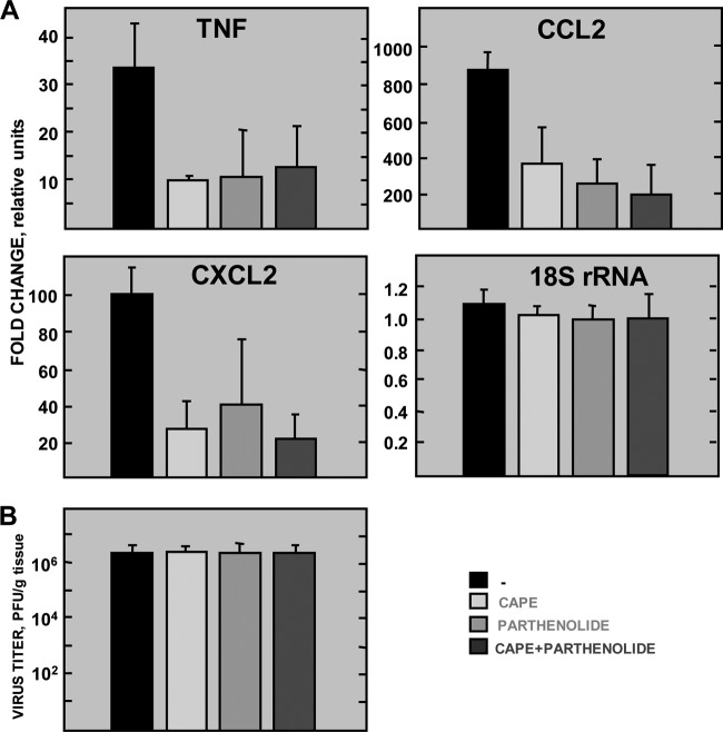 FIG 10