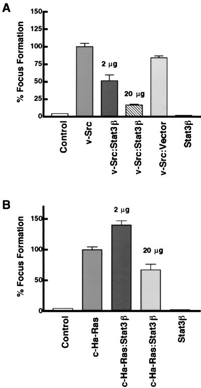 FIG. 7