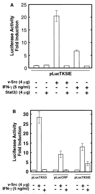 FIG. 5