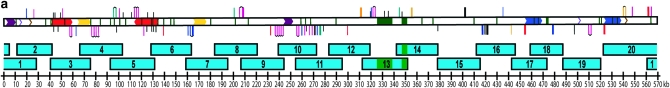 Figure 1.—