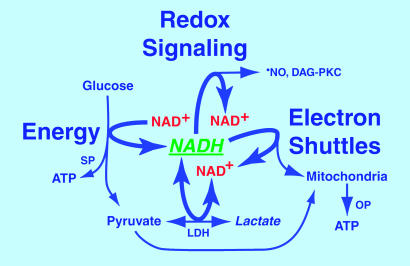 Fig. 4.