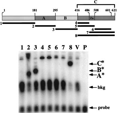 FIG. 1
