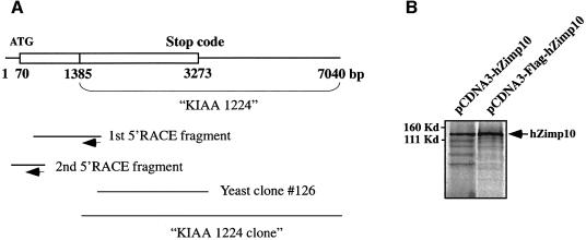 graphic file with name cdg585f1a.jpg