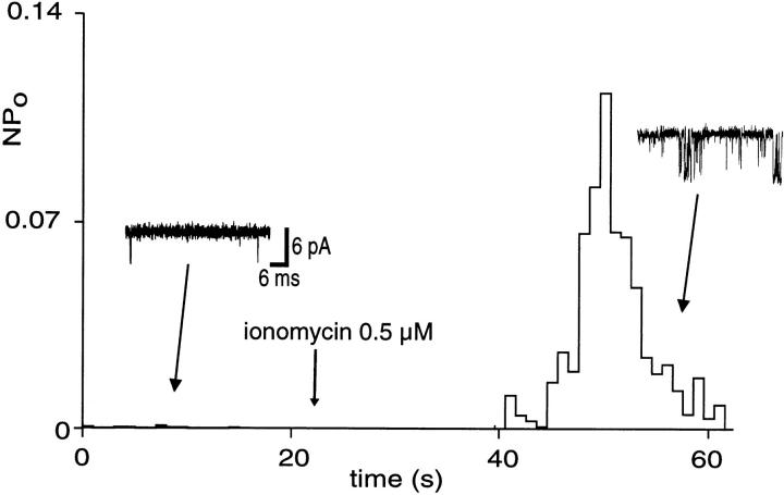 Figure 9