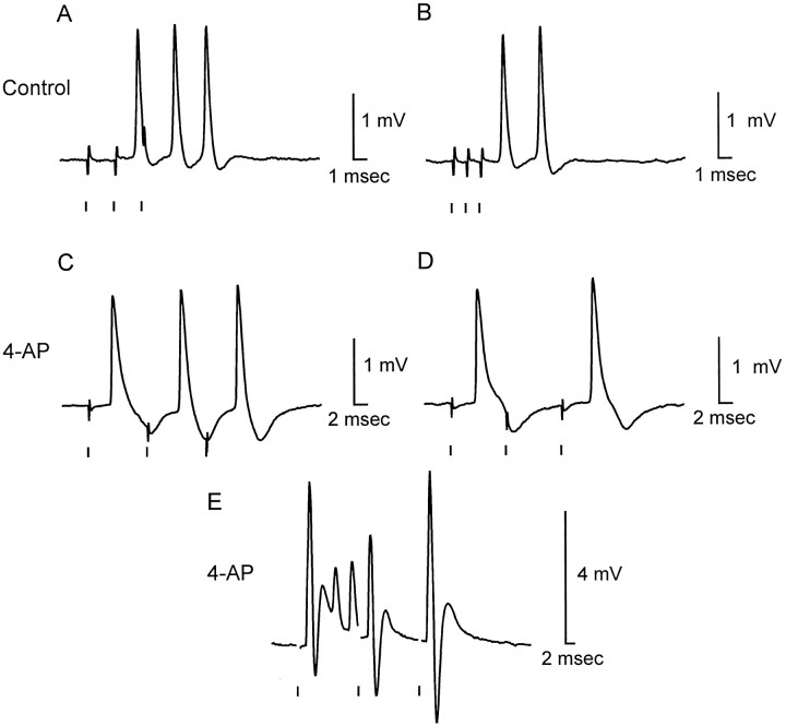 Fig. 6.