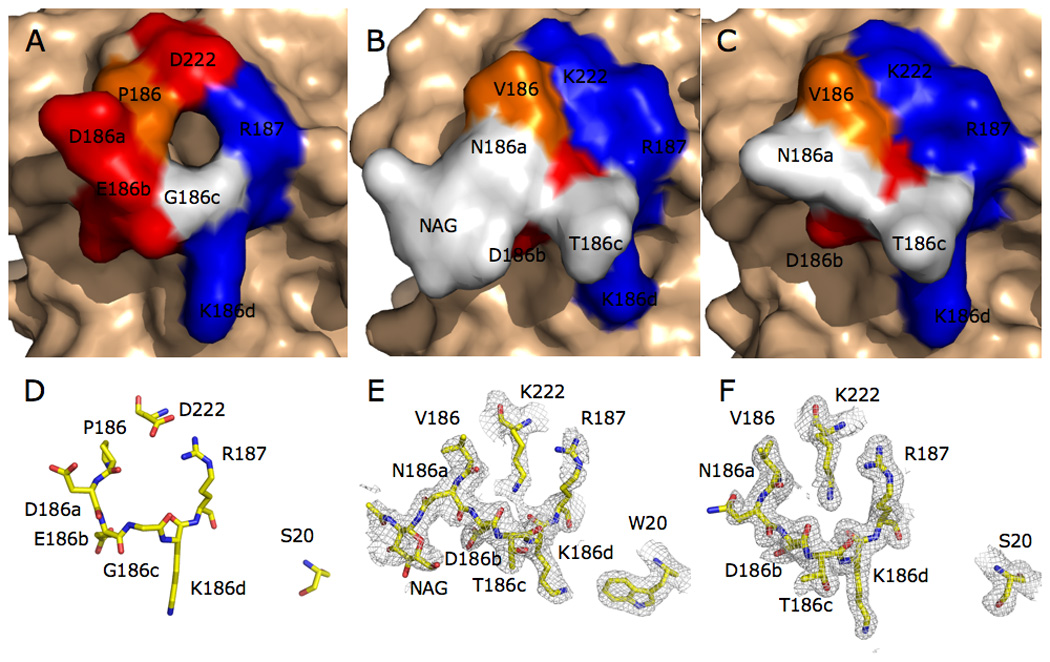 Figure 17