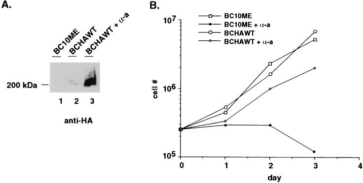 FIG. 7