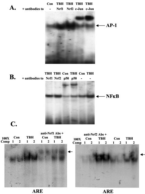 FIG. 11.