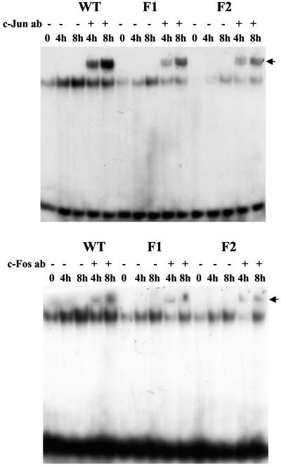 FIG. 6.