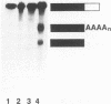5164