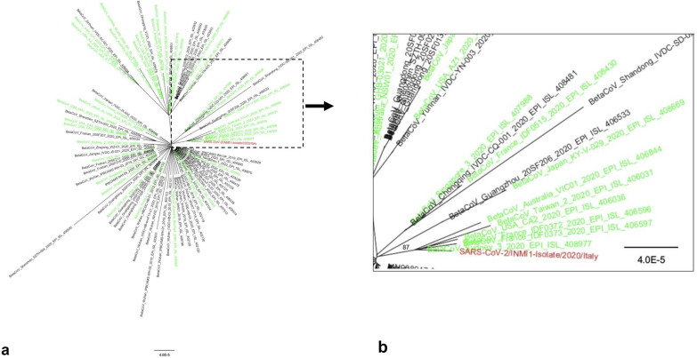 Fig. 1