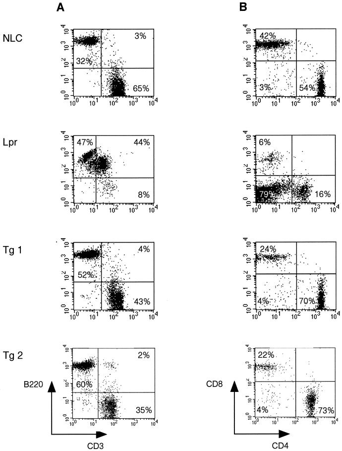 FIG. 3.