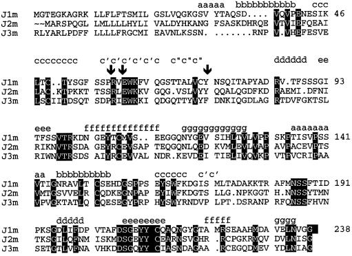 graphic file with name cde451f4.jpg