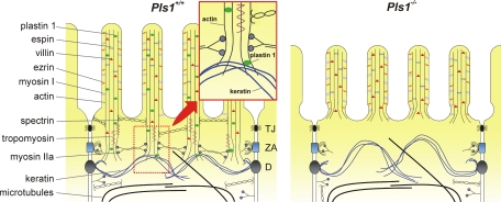 Figure 9.