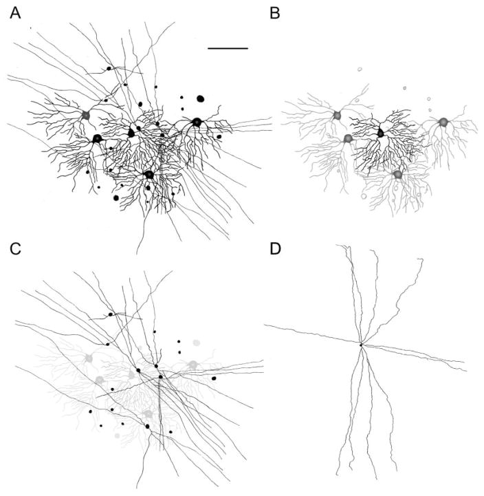 Fig. 4