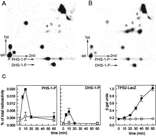 FIG. 3