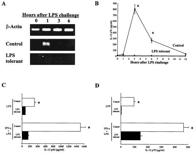FIG. 7