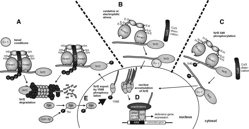 FIG. 11.