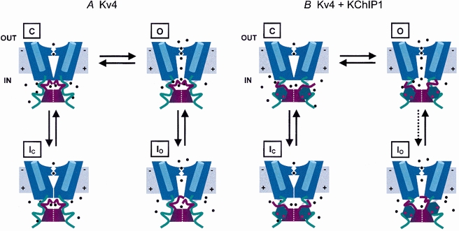 Figure 12