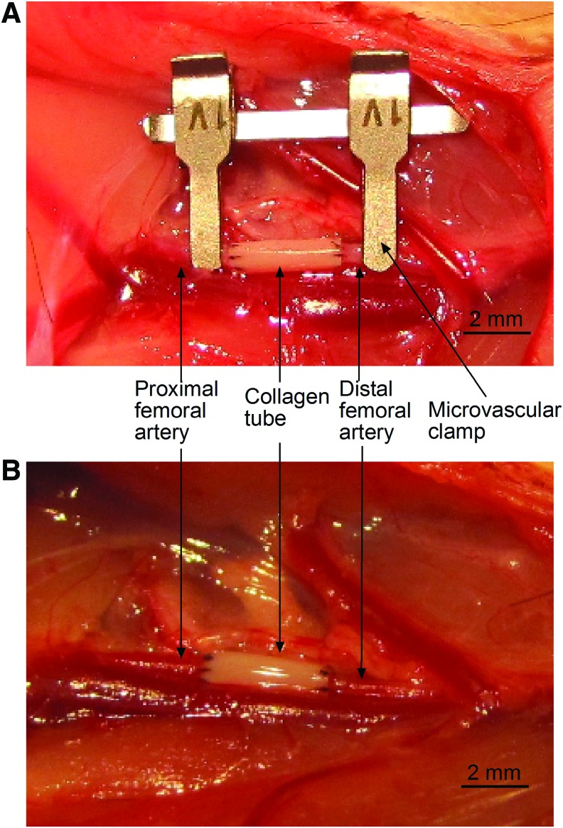 FIG. 7.