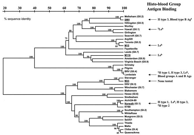 FIG. 10.