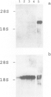 198