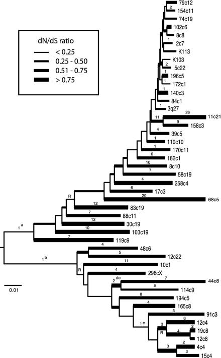 Fig. 3.
