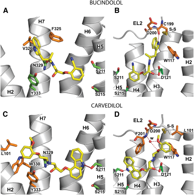 Figure 4