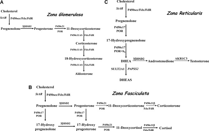 Fig. 13.