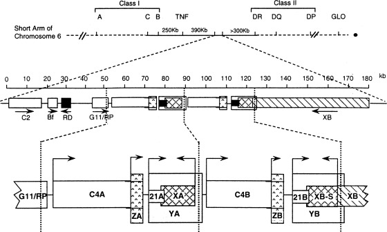 Fig. 9.